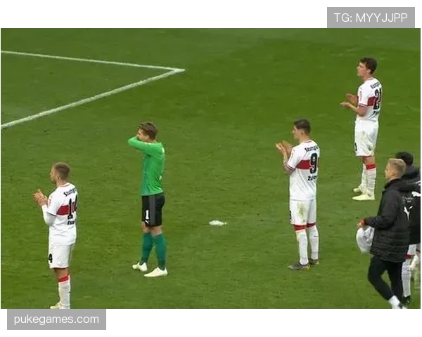 德甲“步行看球”项目鼓励球迷绿色出行，参与人数创新高